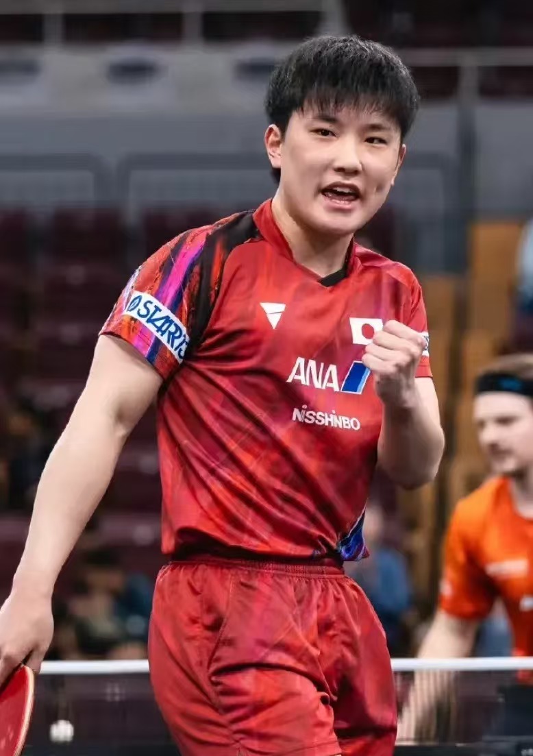 波兰乒乓球队翻盘比利时乒乓球队，张本智和统治全场的简单介绍