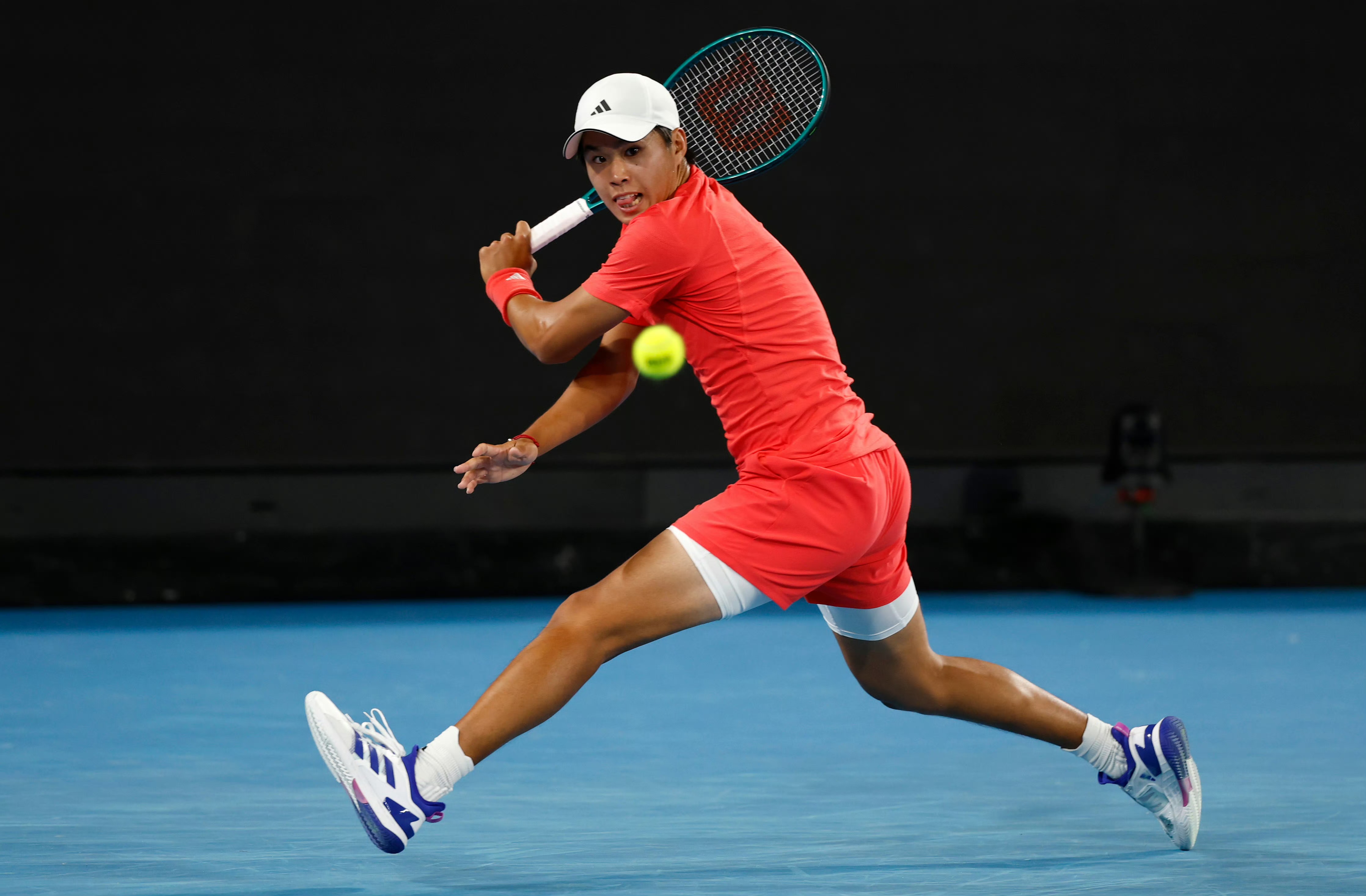 法国网球队爆冷澳大利亚网球队，梅德韦杰夫制霸全场的简单介绍