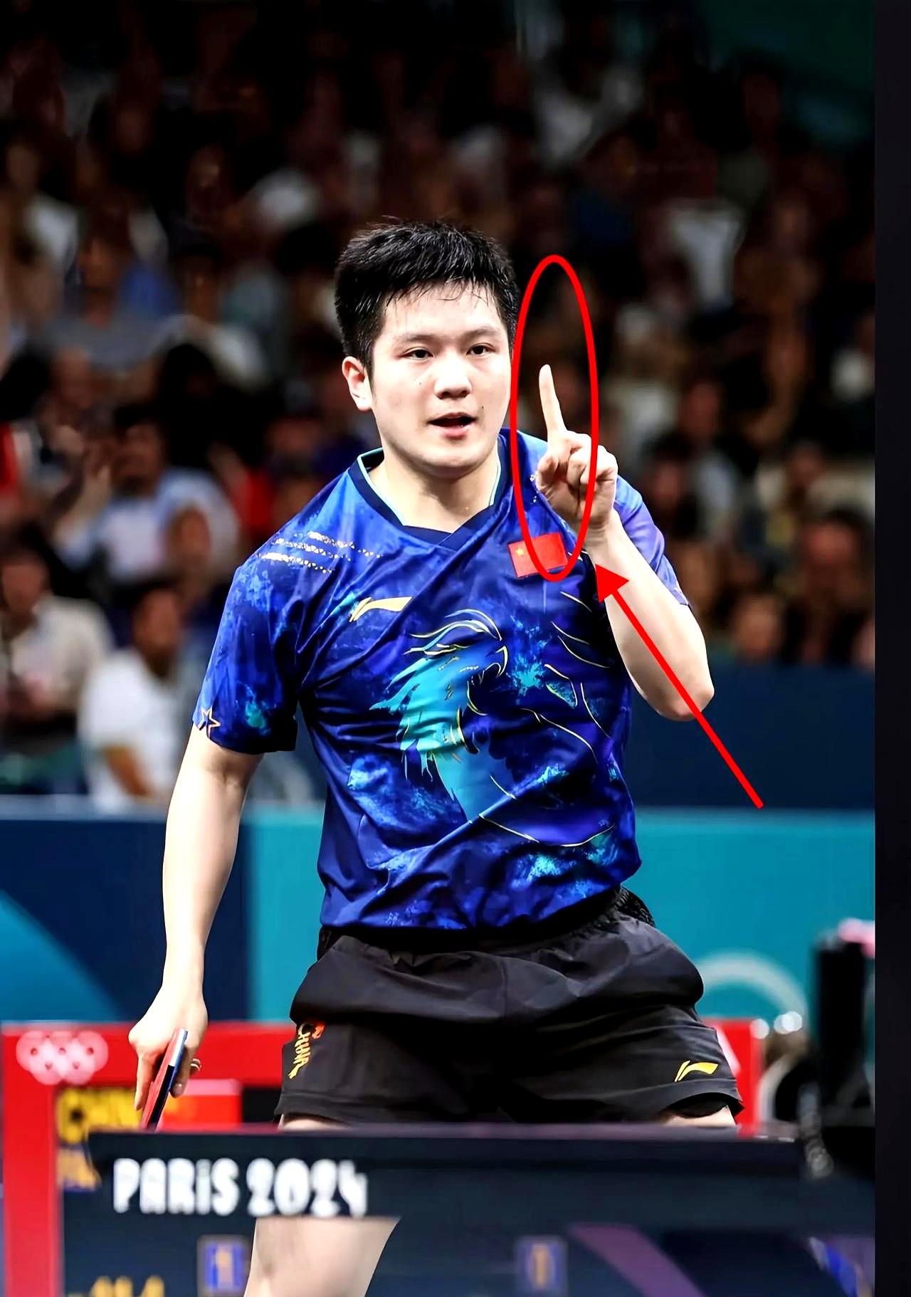 PG SOFT游戏-日本队横扫奥地利队，樊振东点燃赛场