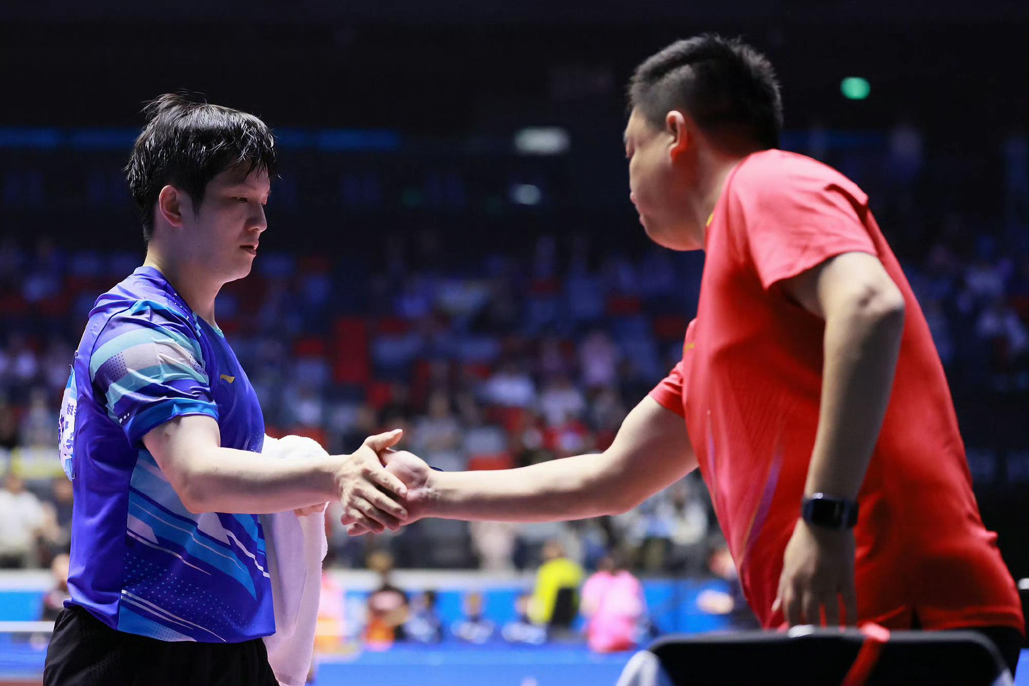 日本队横扫奥地利队，樊振东点燃赛场