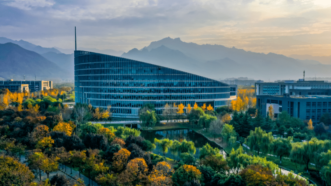 关于布局未来，球队加快培养青年才俊的信息