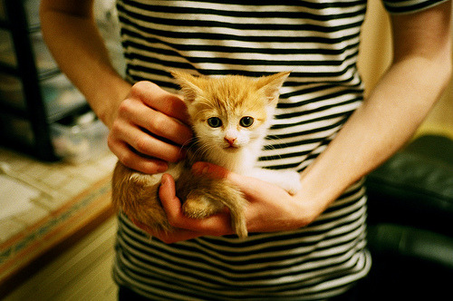 铁幕与红龙，抢七生死战中的法国式压制哲学