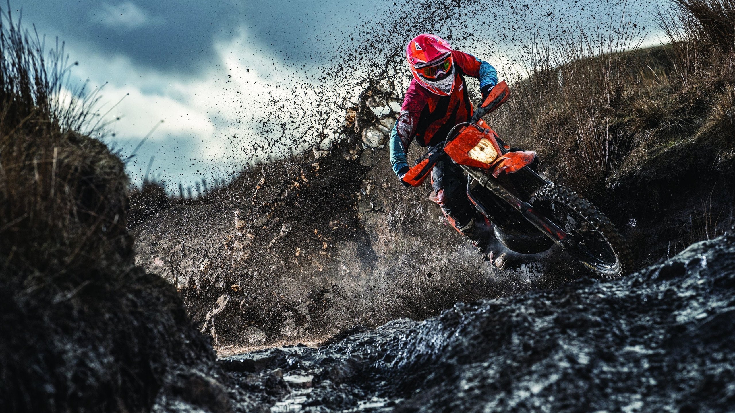 PG中国官网-新王登基，皮亚斯特里领衔法拉利鏖战威廉姆斯，策略与勇气的终极胜利